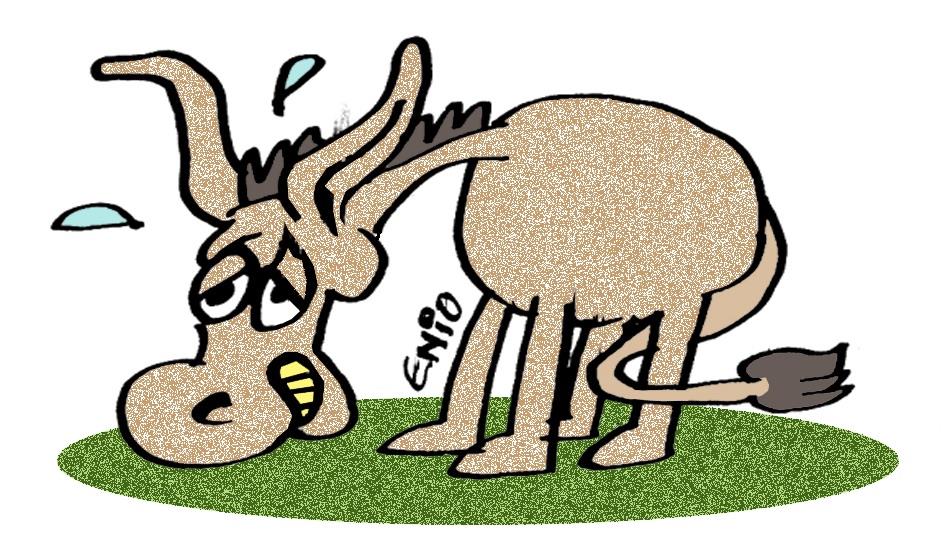 Um burro na plateia - Imagem: Ilustração