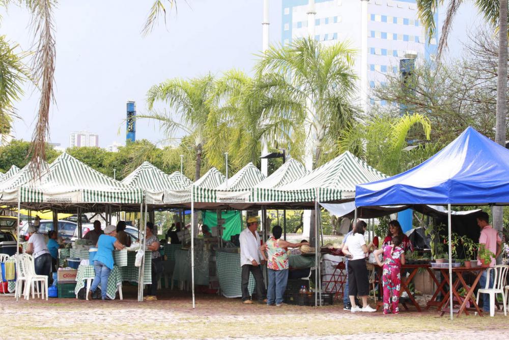 Foto:Divulgação